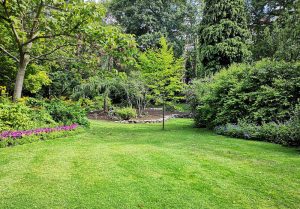 Optimiser l'expérience du jardin à Pargny-les-Bois